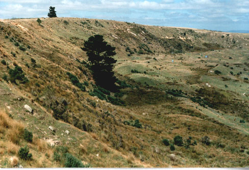 Fig. #1: The eastern edge of the Tapanui Crater