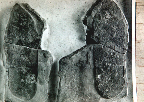 Fot. #E1. Odcisk buta UFOnauty, liczacy 550 mln lat - rys. O32 z [1/4] oraz rys. B1 z [7/2]